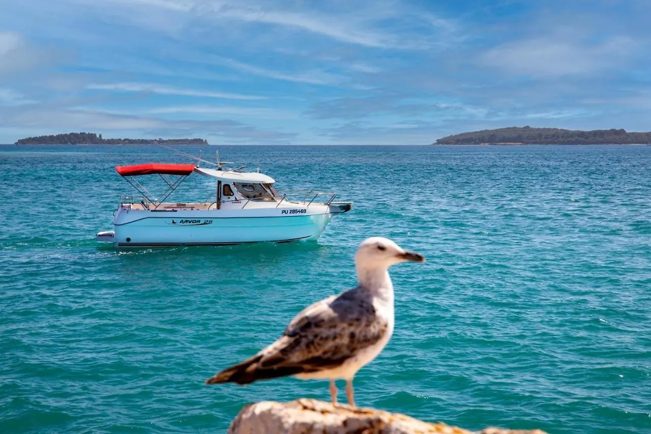 Boat Barbara Hotel Fazana Croatia